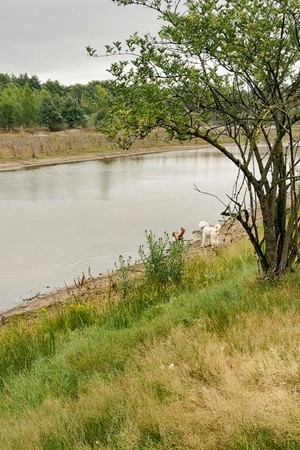 202507 Dorperrheideweg 34-2214 Arcen-24.jpg